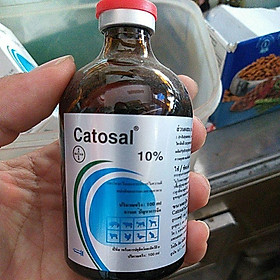 catosal 10% dùng thú y