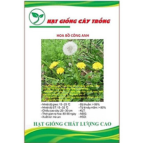 Hạt Giống Bồ Công Anh CT226- Gói 50 hạt