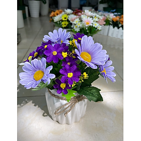Mua Chậu hoa đồng tiền nhân tạo để bàn làm việc - Cây giả  hoa lụa Decor trang trí nhà cửa - Tím
