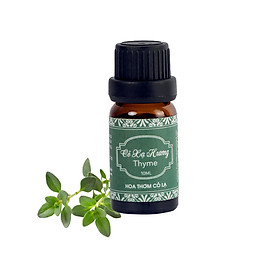 Tinh Dầu Cỏ Xạ Hương - Thyme Essential Oil 10ml - Hoa Thơm Cỏ Lạ