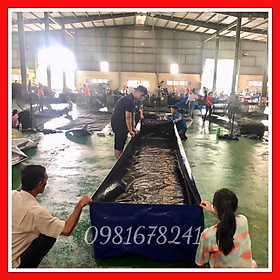 Mua Bể Bạt  Tráng bạt  Hồ Cá  hàng may đo theo kích thước yêu cầu.