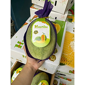Dưa lưới Đài Loan 1 quả 1,7kg -2kg