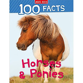 Hình ảnh 100 Facts Horses And Ponies