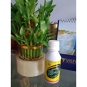 Mua chai 100ml ra rễ cực mạnh vitamin B1.