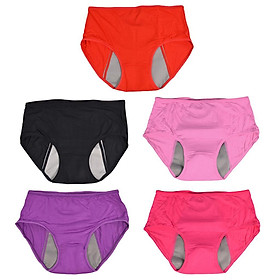 5pcs Womens Period Leakproof Physiological Night Pants Seamless Panties L