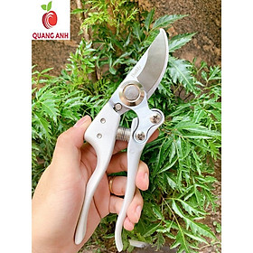Mua KÉO CẮT TỈA CÂY CẢNH CHUYÊN DỤNG NHẬT BẢN BUDDY CAO CẤP