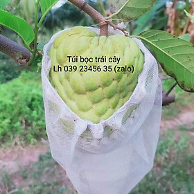 Mua 100 CÁI TÚI LƯỚI BAO   BỌC CAM LÊ NA THÁI BƠ ..TÚI BAO BỌC TRÁI CÂY