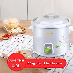 Mua Nồi Nấu Chậm Bennix BN-40SLC