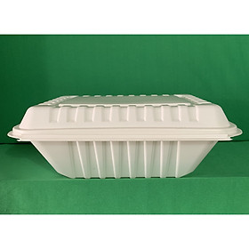 100 CÁI HỘP ĐỰNG THỰC PHẨM