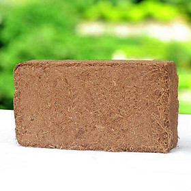 Đất Sạch Hữu Cơ Trồng Rau, Trồng Cây Tiện Lợi, Dễ Sử Dụng (1 Viên)