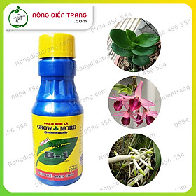 PHÂN BÓN LÁ VITAMIN B1 GROW MORE Mỹ - Chai 100ml - Tăng Sự đề Kháng Cho Cây, Kích Thích Rễ Phát Triển, Tăng Chất Lượng Và Năng Suất VTNN Nông Điền Trang