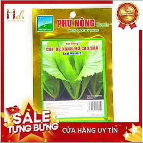 Hạt Giống Cải Bẹ Xanh - Hạt Giống Cải Bẹ Xanh Mỡ Cao Sản Dễ Trồng, Năng Suất Cao