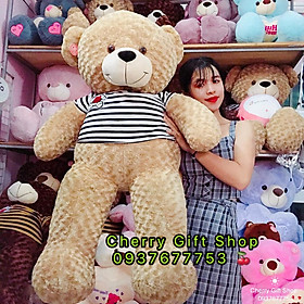 Gấu Bông Teddy Áo Thun Cao Cấp Giá Sốc 1m5 Ảnh Shop Chụp