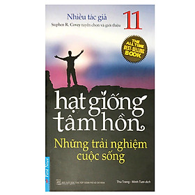 Download sách Hạt Giống Tâm Hồn - Tập 11 - Những Trải Nghiệm Cuộc Sống (Tái Bản)