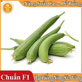 Mua Hạt giống Mướp Hương ( Gói 15 hạt ) - Nông Sản Vàng