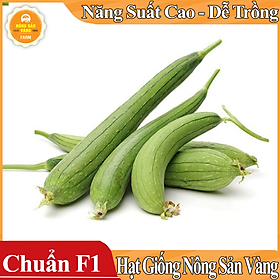 Hạt giống Mướp Hương ( Gói 15 hạt ) - Nông Sản Vàng