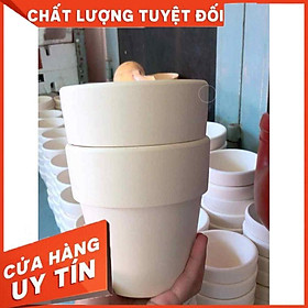 Chậu đất nung trồng cây Nhiều Người Mua