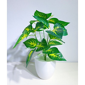 Mua Cây lá giả 5 nhánh 30cm  trang trí nhà cửa