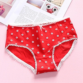 Quần Lót Nữ Cotton Hoa Nổi Ngang Eo Thời trang Hàn Quốc  Hàng Loại Đẹp