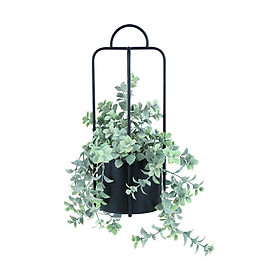Chậu Cây Treo JULIE | Index Living Mall | Nhập khẩu Thái Lan