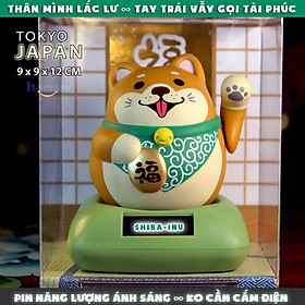 Shiba Inu Mô Hình giá rẻ Tháng 82023BigGo Việt Nam