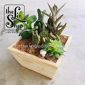 Chậu cây bằng gỗ thông 3 sizes