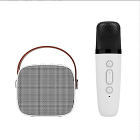 Bộ Micro loa bluetooth Karaoke Mini Ngoài Trời KTV Cardioid