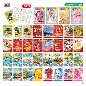 Bộ Combo 10 Lịch Túi Năm 2025 - Ất Tỵ
