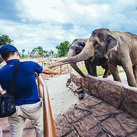 Vé vui chơi Vinpearl Land Nam Hội An (vé trẻ em)