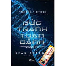 BỨC TRANH TOÀN CẢNH – Sean Carroll – Phan Thị Hà Trang & Nguyễn Trung Đức dịch – Nhã Nam - NXB Thế Giới