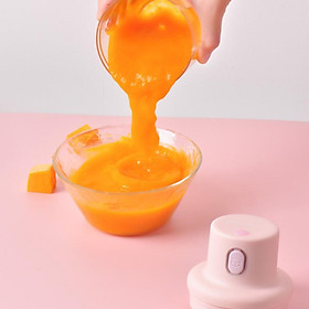 Mua Máy Xay Mini Dung Tích 250ml Có Cổng Sạc Usb Xay Hành  Tỏi  Rau Củ Nhỏ Gọn