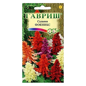 Hạt Giống Xác Pháo Mix Gavrish (0.05g)