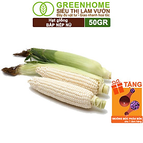 Mua Hạt Giống Bắp Nếp Nù  Greenhome  Gói 50GR  Dễ Trồng Quanh Năm  Nảy Mầm Cao  T33