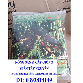 200 gram Hạt giống Cà PhêVối cao sản TR4