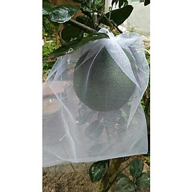 Mua 100 CÁI TÚI BAO  BỌC BƯỞI  NHÃN LOẠI LƯỚI TỐT KÍCH THƯỚC 35*40cm