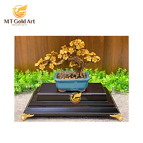 Hình ảnh Chậu Hoa Mai Ngũ Phúc Dát Vàng 24K (22X9X18 cm) MT Gold Art- Hàng chính hãng, trang trí nhà cửa, phòng làm việc, quà tặng sếp, đối tác, khách hàng, tân gia, khai trương