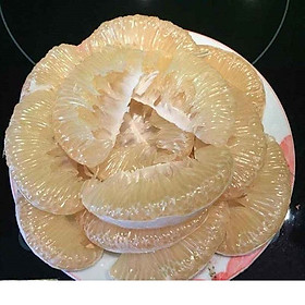 [ Chỉ giao HN] - Bưởi Phúc Trạch - Hà Tĩnh loại 1 - 10 quả