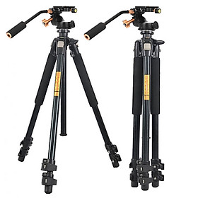 Mua Chân máy ảnh Beike Q-899 Video  Hàng chính hãng