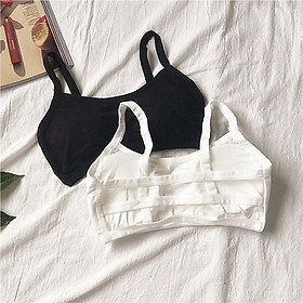 Combo 2 áo ngực nữ có đệm ngực rời 3 dây sau