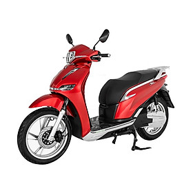 XE MÁY ĐIỆN PEG S