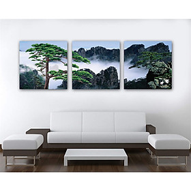Bộ 3 tranh CHẬU CÂY BON SAI,,  treo tường trang trí  phòng ăn, Phòng khách, tặng kèm khung tranh composite PVP-DC34