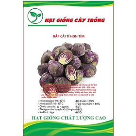 Mua Hạt Giống Bắp Cải Tí Hon Tím CT362 - Gói 20 hạt