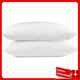Mua Ruột Gối Nằm Ép Hơi 40X60 (2 Cái) - Loại Tốt