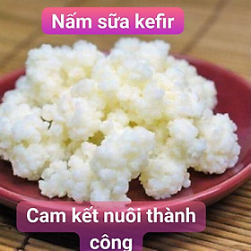 Mua Nấm kefir combo đầy đủ: Rây nhựa+thìa gỗ+ hũ thủy tinh 500ml+khăn xô+ 1 phần nấm kefir