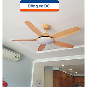 Mua Quạt trần 6 số đảo chiều động cơ DC ( điều khiển từ xa)