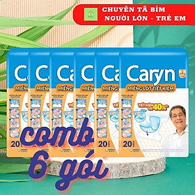 COMBO 6 GÓI MIẾNG LÓT TIẾT KIỆM ( LÓT BỔ SUNG ) CARYN 20 MIẾNG