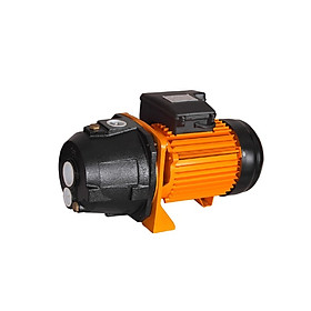 Mua Máy bơm  nước  Sutudo -  Vừa hút sâu vừa đẩy cao 1 đầu  BHS100 (1HP) - ống  42/34 - dây đồng