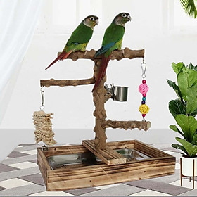 Bird Playground Parakeet Parrot Play Stand for Lovebirds Budgies Cockatiel