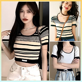 Áo len Montoghi dệt kim VIỀN GẮN NHÃN cổ tròn cọc tay dáng vừa phong cách Hàn Quốc