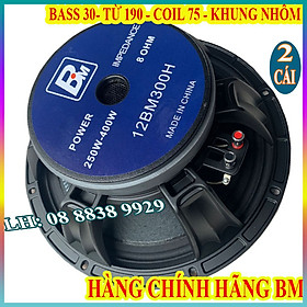 CẶP LOA BASS 30 BM CHÍNH HÃNG HÀNG NHẬP KHẨU TỪ 190 COIL 75 CAO CẤP - GIÁ 2 CHIẾC